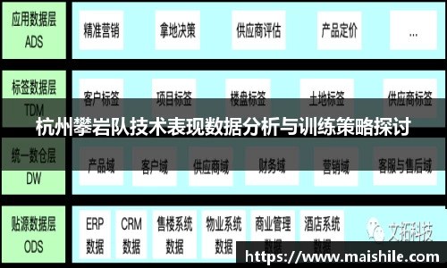 杭州攀岩队技术表现数据分析与训练策略探讨